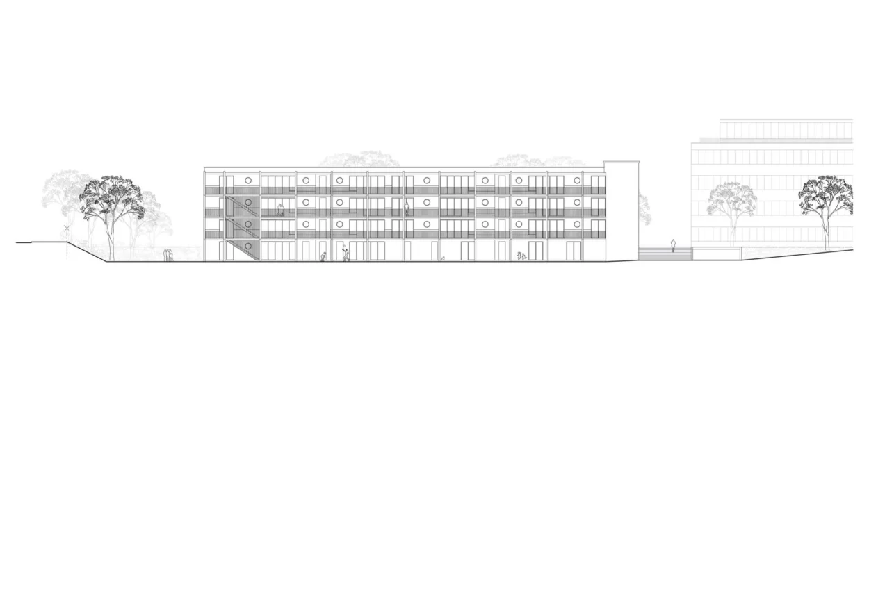 DSS