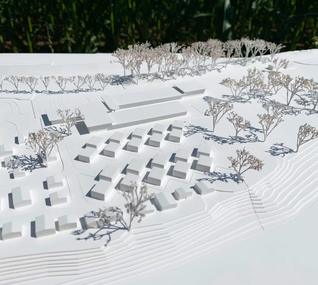 kollektiv_juma_architekten_zug-strandbad_bruggerhorn