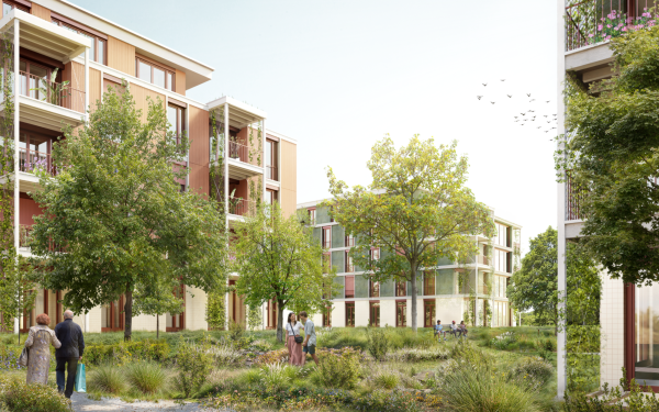 Studienauftrag Hofmatt, Sursee